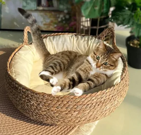 Handmade Pet Bed
