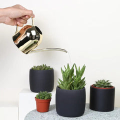 Watering Can