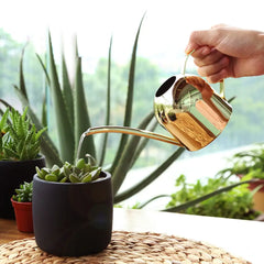 Watering Can